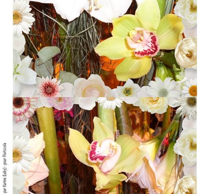 Reportage de la sortie Florissimo à Dijon