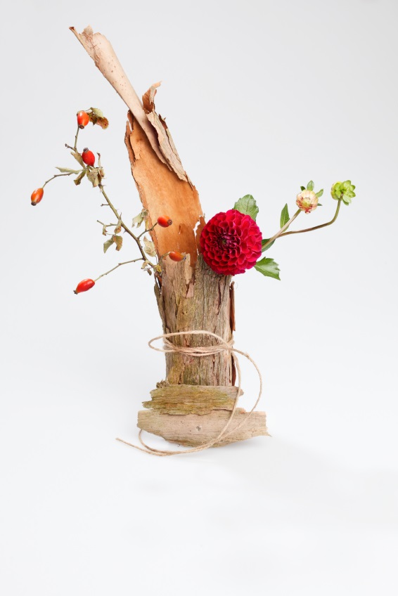 Biennale Ikebana 18 au 20/11/17 au clos des Capucins à Meylan