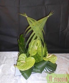  » ESPERANCE  » JANVIER 2020 ALAIN