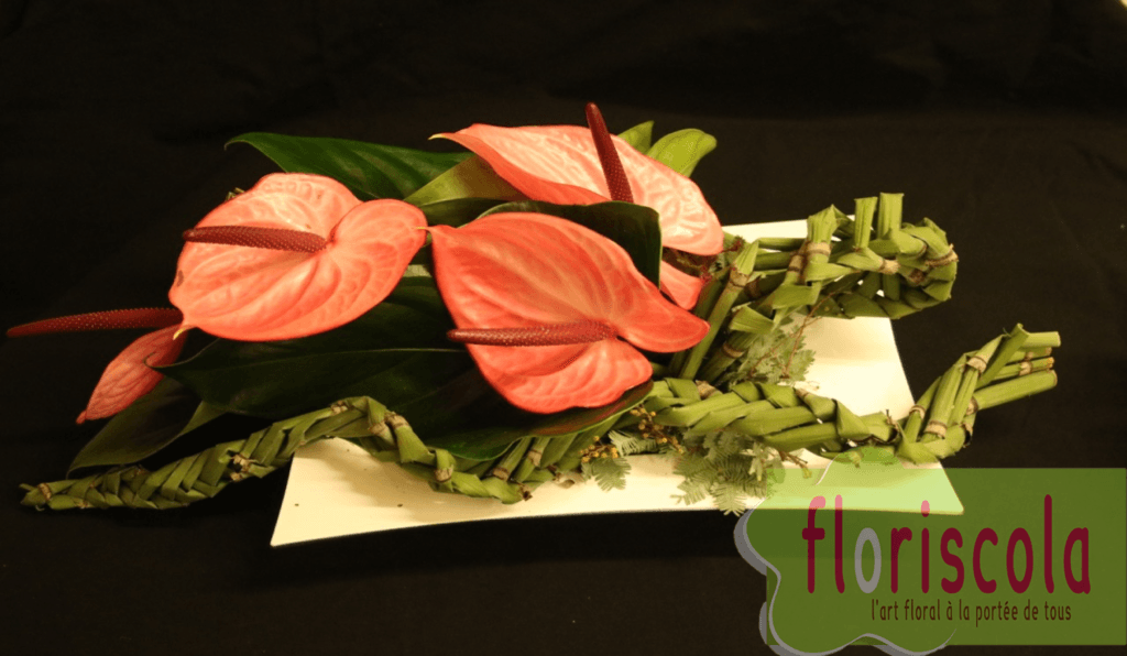  » ENLACE  » JANVIER 2020 DOMINIQUE ST EGREVE