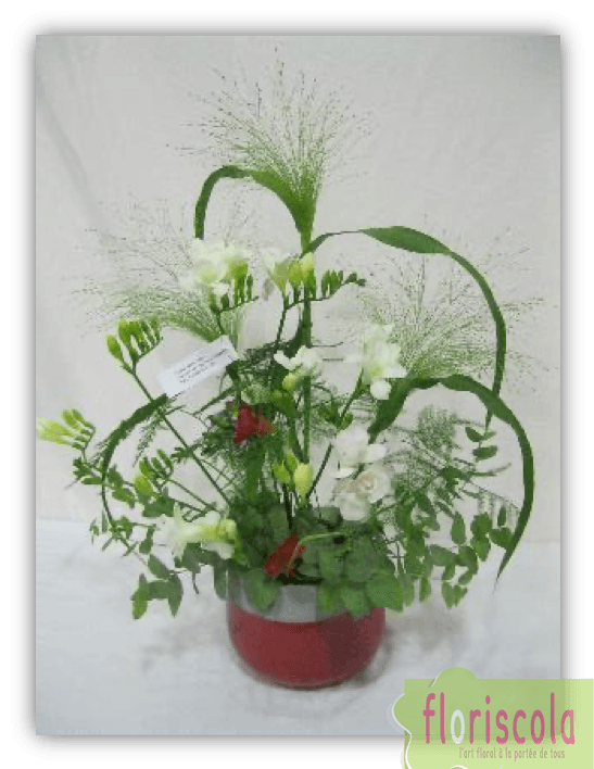 « LE HAIKU » FEVRIER 2020 MPT DIDIER CHAPEL ET CAROLINE ISSERT