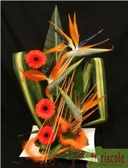 « ENTRE CIEL ET TERRE » MARS 2020 MPT DIDIER CHAPEL