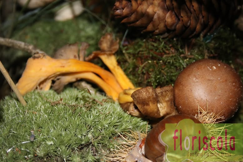 COMPOSITIONS D’AUTOMNE  DES ADHERENTES NOVEMBRE 2020 N°3