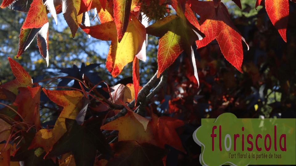 LES CREATIONS D’AUTOMNE DE NOS ADHERENTES NOV 2020