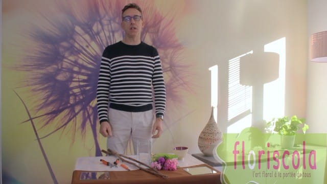 Série de 3 films « variations sur les bulbes de printemps » par Didier CHAPEL –  N°3 : simplicité et sobriété des jacinthes  JANVIER 2021