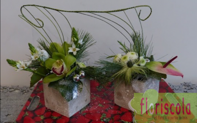 « CHEMIN DE DOUCEUR » ATELIERS DÉCEMBRE 2021 AVEC DOMINIQUE FERRIER