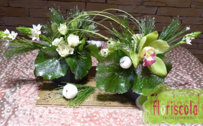 « CHEMIN DE DOUCEUR » VAUJANY VACANCES DÉCEMBRE 2021 AVEC DOMINIQUE FERRIER