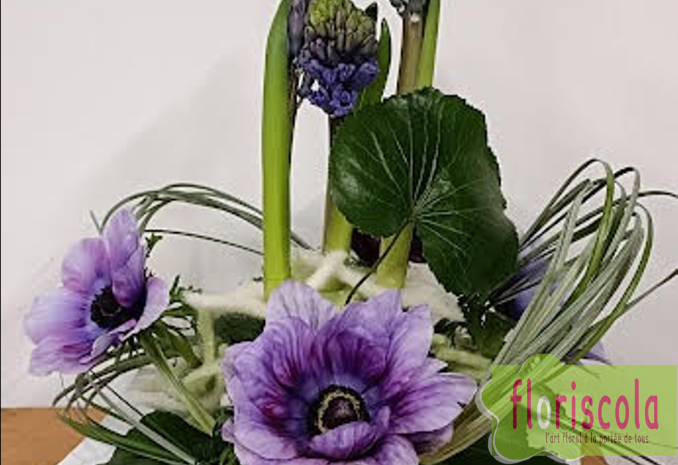 « DOUCEUR ACIDULÉE » ATELIERS JANVIER MPT 2022 AVEC DIDIER CHAPEL ET AVF FÉVRIER