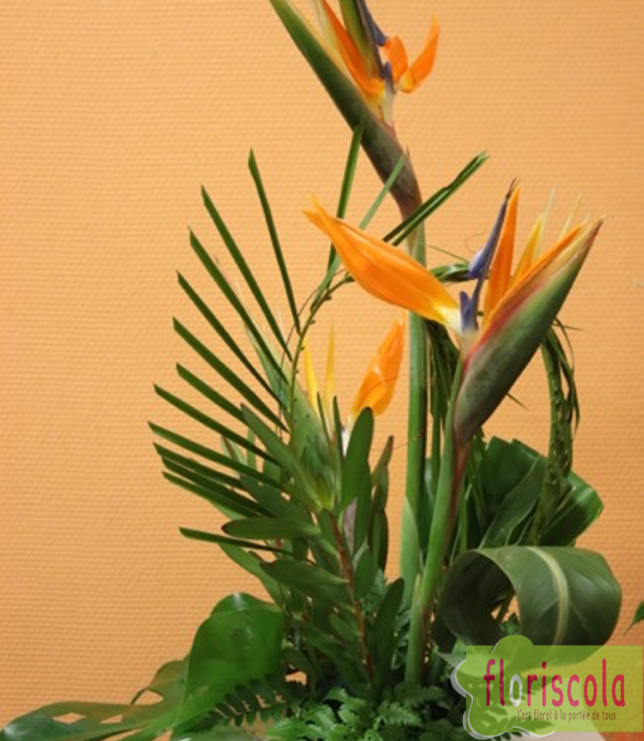 « À TOUT COEUR » ATELIERS FEVRIER 2022 DOMINIQUE FERRIER