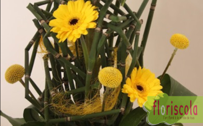 « ÉQUINOXE »  ATELIERS OCTOBRE 2022 AVEC ALAIN HÉRY