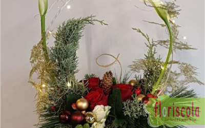 “PARADE DE NOËL” Ateliers d’art floral de décembre 2023 aux AVF de Voiron et à la MPT St Jean de Moirans avec Didier Chapel
