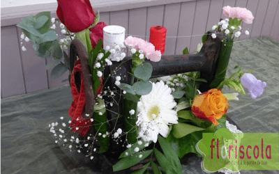  » MERCERIE ET ACCESSOIRES DE MODE  » Ateliers de juin 2025 avec Dominique Ferrier