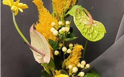 « PHOTOS ATELIERS 24/25 à la MJC des Allobroges » avec Didier Chapel