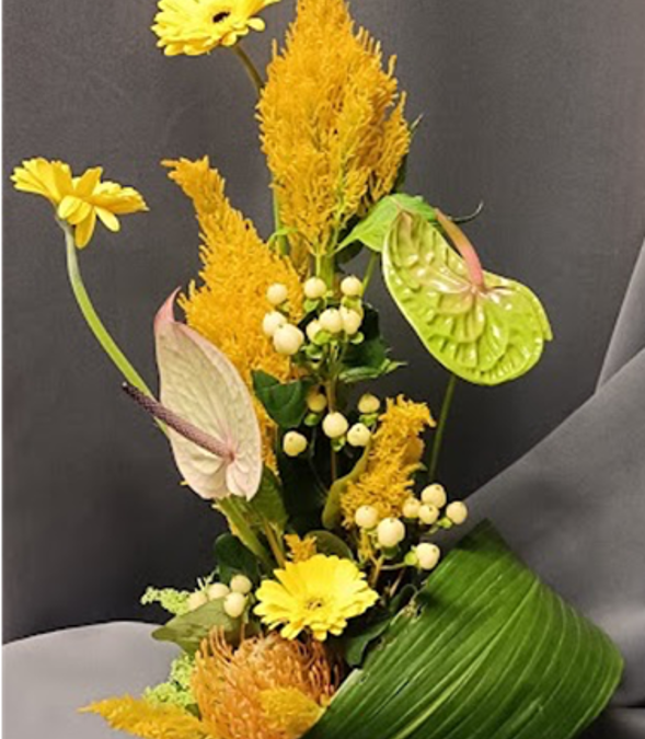 « PHOTOS ATELIERS 24/25 à la MJC des Allobroges  » avec Didier Chapel