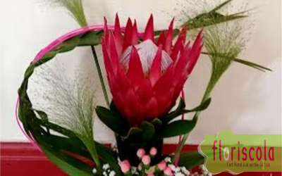 « GONDOLES EXOTIQUES ET PANIERS EXQUIS » Ateliers de février et avril 2025 Alain Héry