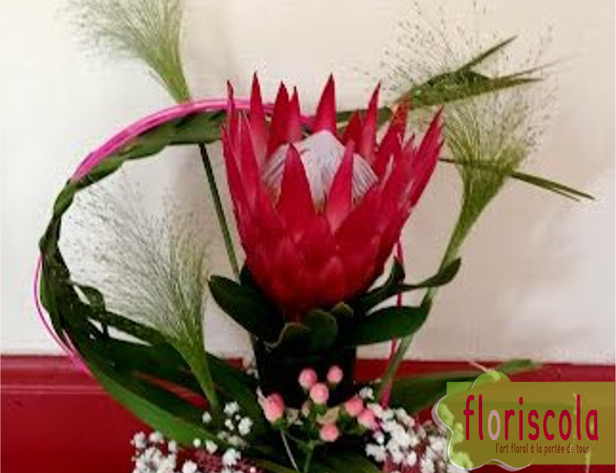 « GONDOLES EXOTIQUES ET PANIERS EXQUIS   » Ateliers de février et avril 2025 Alain Héry