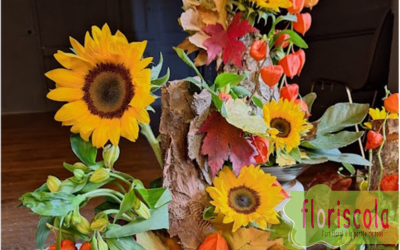 Photos des ateliers de 2024/25 avec Alain Héry .