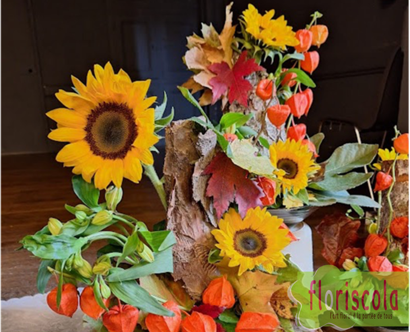 Photos des ateliers de 2024/25 avec Alain Héry .